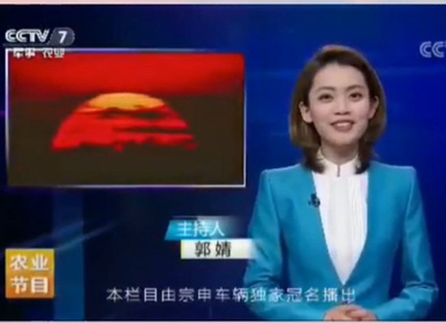了不起的好麗友：郭婧，畢業(yè)于中國傳媒大學(xué)，現(xiàn)就業(yè)于中央電視臺